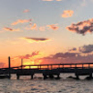 Meet your Posher, Gracey